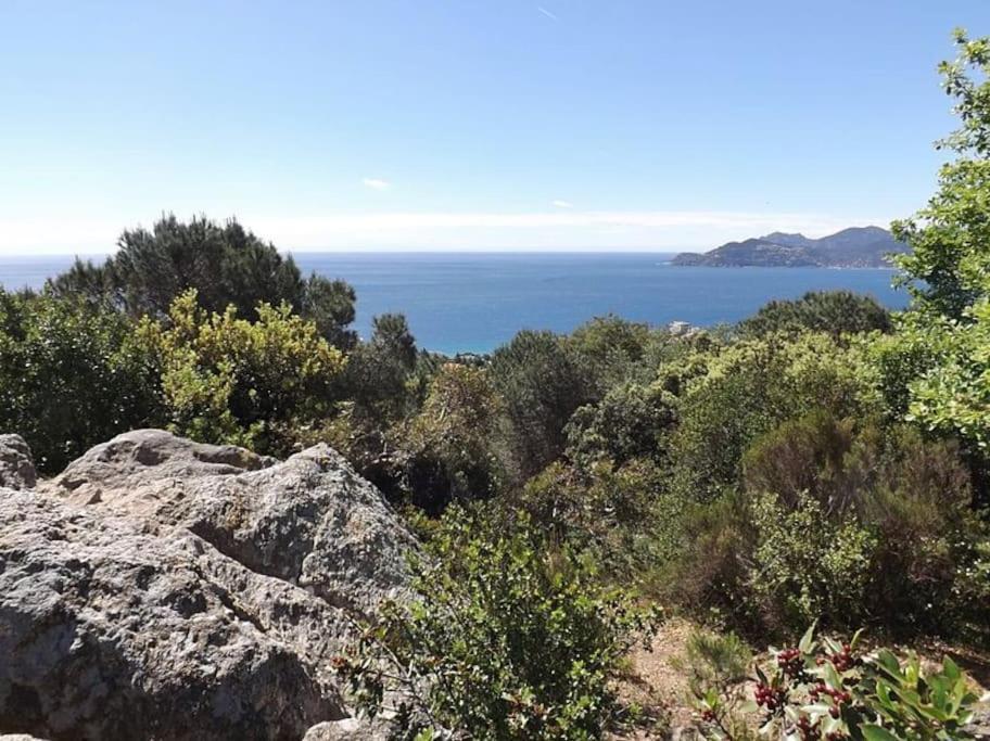 Studio Croix Des Gardes Palais Plages คานส์ ภายนอก รูปภาพ