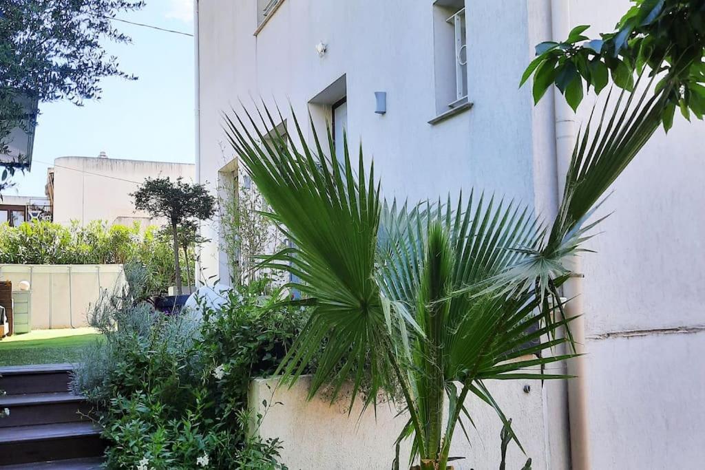 Studio Croix Des Gardes Palais Plages คานส์ ภายนอก รูปภาพ